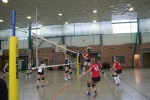und wieder mal Marleen
Gre: 600 x 400, 93809 Byte
Urheber: Rene Standfuß