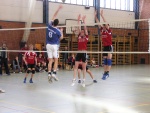 Um dann zuzupacken!
Gre: 600 x 450, 120688 Byte
Urheber: Udo Fidorra