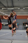 
Gre: 399 x 600, 89738 Byte
Urheber: Dörthe Steuer