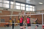 ab und zu hatten wir auch einen Block stehen...
Gre: 600 x 402, 102210 Byte
Urheber: Petra Moser