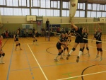 
Gre: 600 x 450, 103071 Byte
Urheber: Axel Stenschke