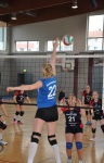 
Gre: 399 x 600, 94614 Byte
Urheber: Helge Focke