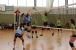 
Gre: 600 x 400, 100828 Byte
Urheber: Dennis Isecke