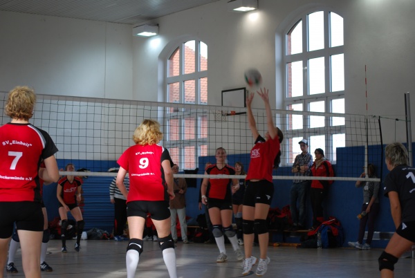 Urheber: Petra Moser