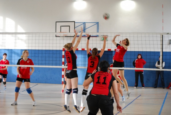 Urheber: Petra Moser