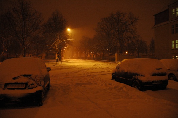 Urheber: Nils Stubbe