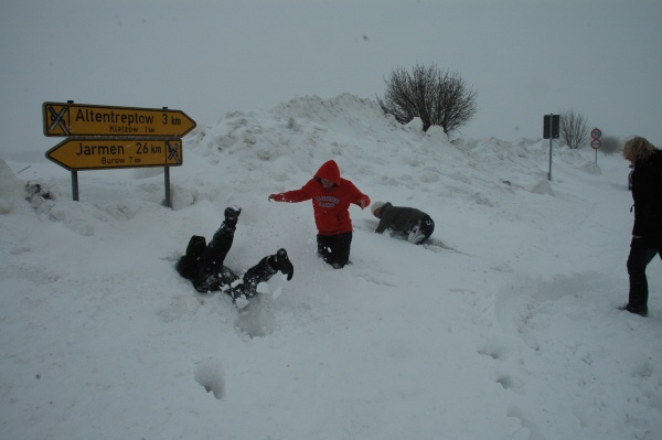 Urheber: Nils Stubbe