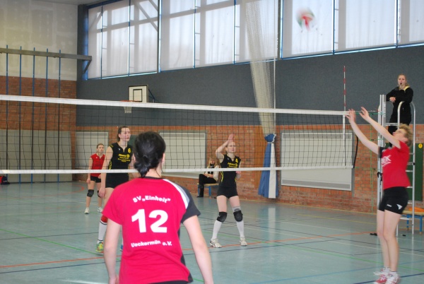 Urheber: Petra Moser