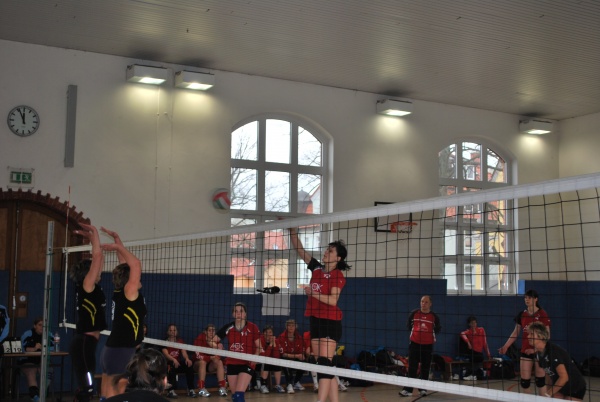 Urheber: Petra Moser