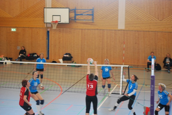 Urheber: Petra Moser