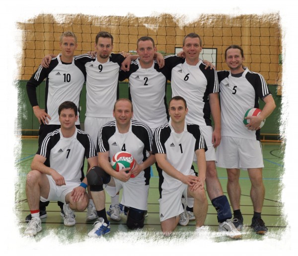 SV Dassow 24 (Landesliga West Herren 2011/2012)