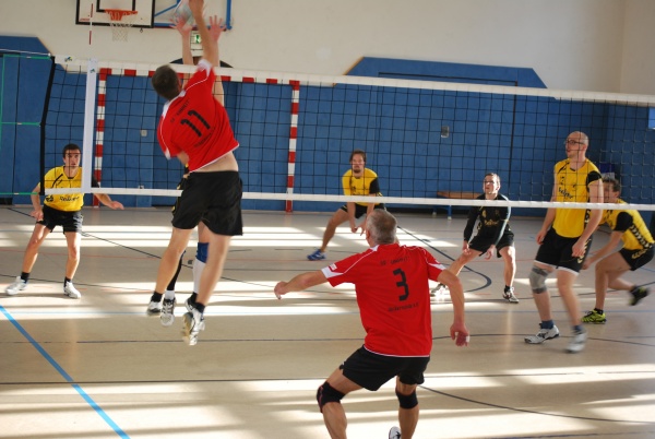 Urheber: Petra Moser