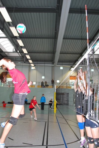 Urheber: Petra Moser