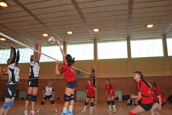 Urheber: Petra Moser