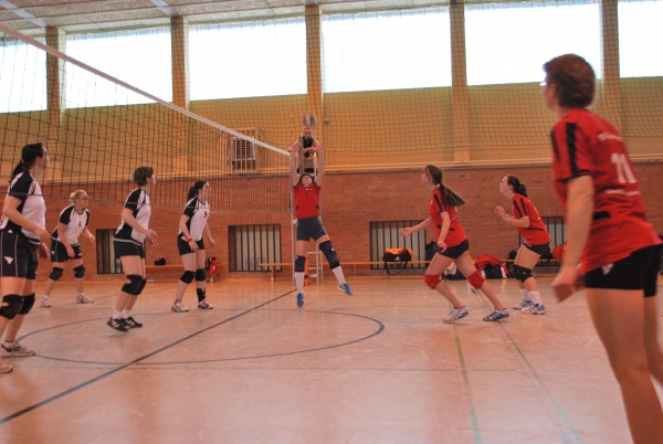 Urheber: Petra Moser