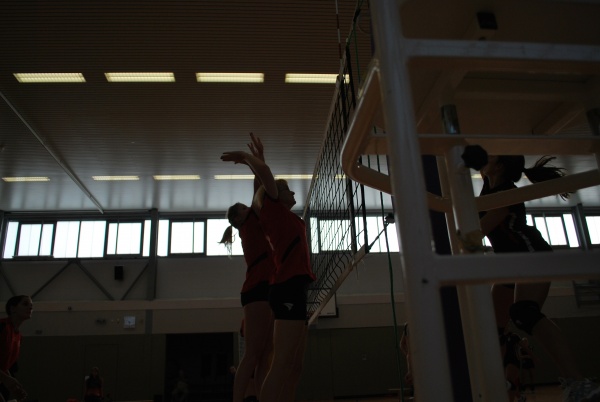 Urheber: Petra Moser