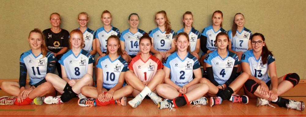 SC Neubrandenburg II (Landesliga Damen 2016/2017)