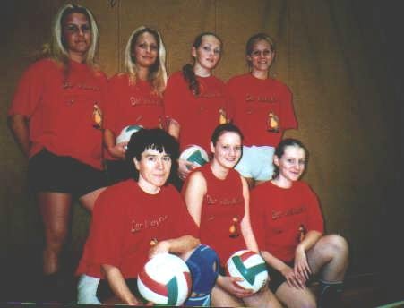Volleyball-SV 06 Schwerin (Bezirksklasse Nord Damen 2001/2002)