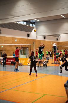 Volleyball-34-von-100.jpg