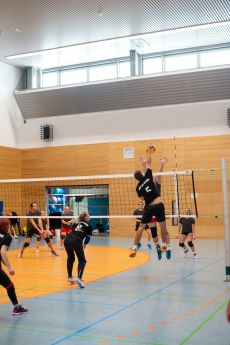 Volleyball-32-von-100.jpg