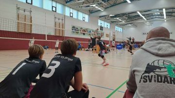 WhatsApp Image 2025-11-20 at 11.18.57.jpeg