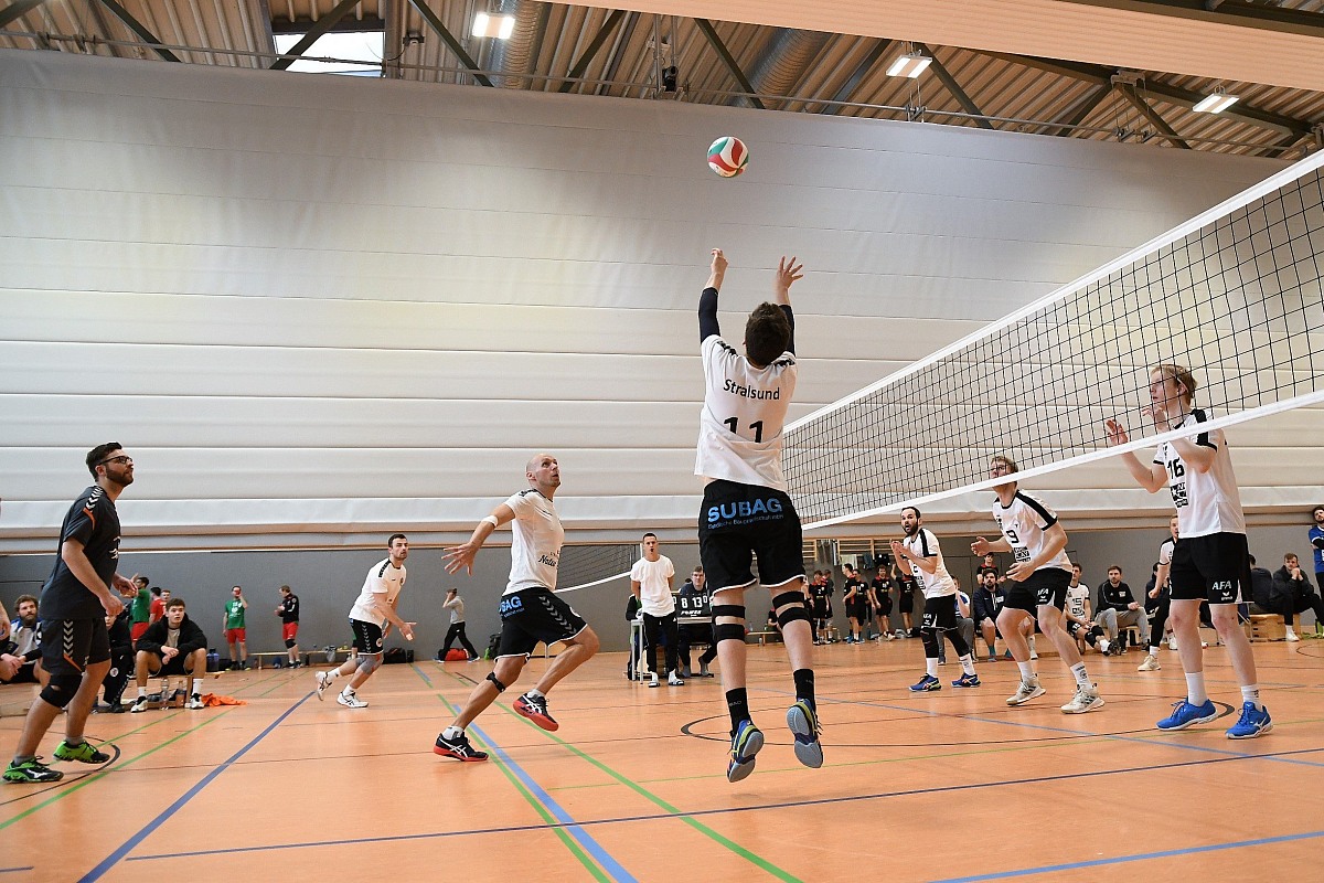 VMV-Bildergalerie: 