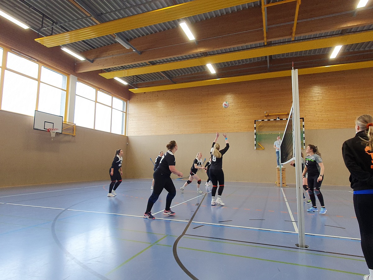 VMV-Bildergalerie: 