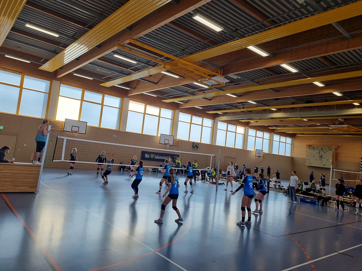 VMV-Bildergalerie: 