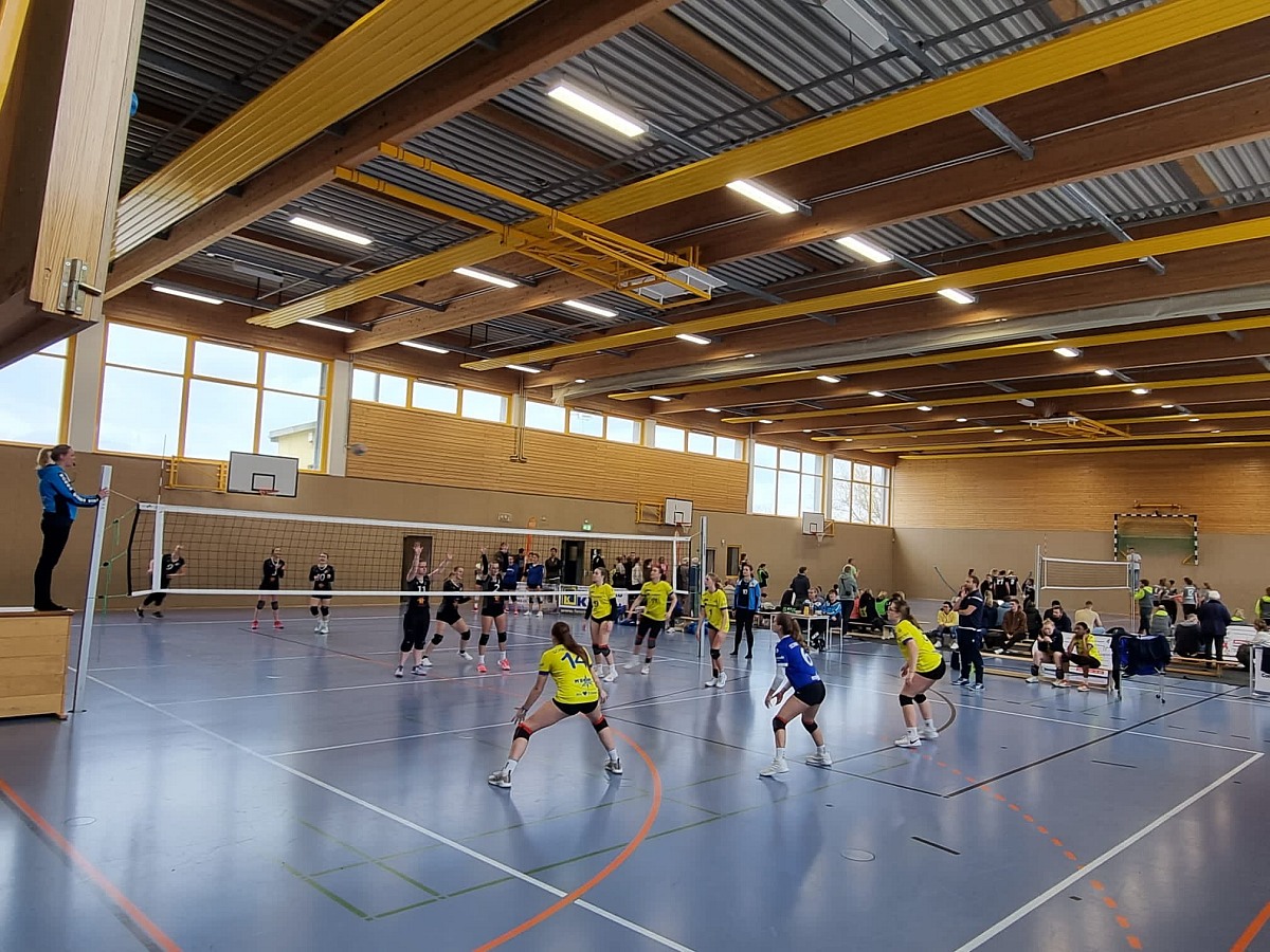 VMV-Bildergalerie: 