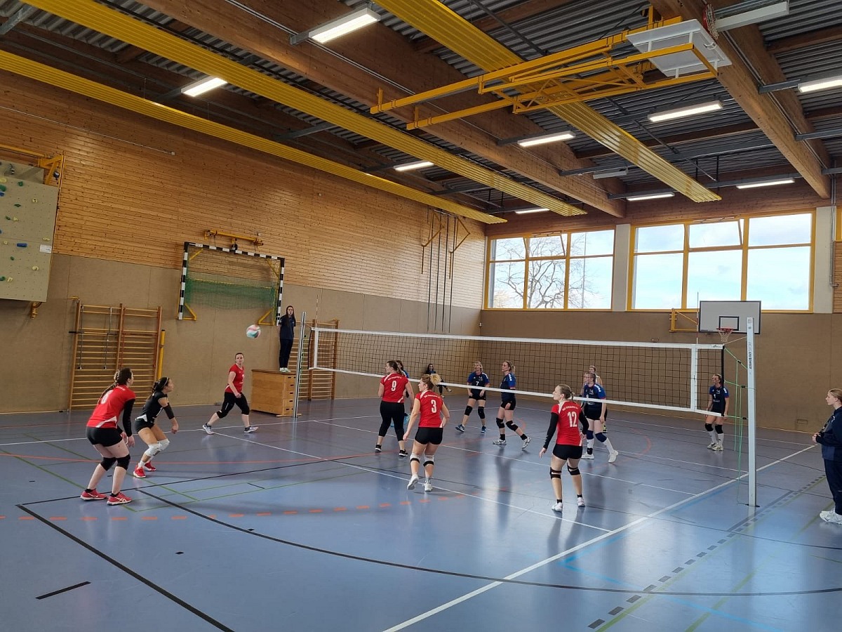 VMV-Bildergalerie: 