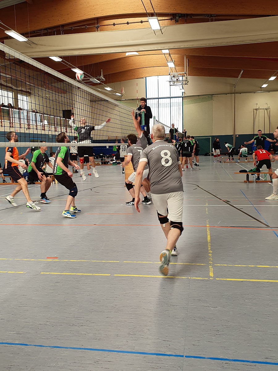 VMV-Bildergalerie: 