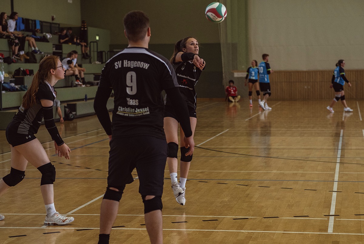 VMV-Bildergalerie: 