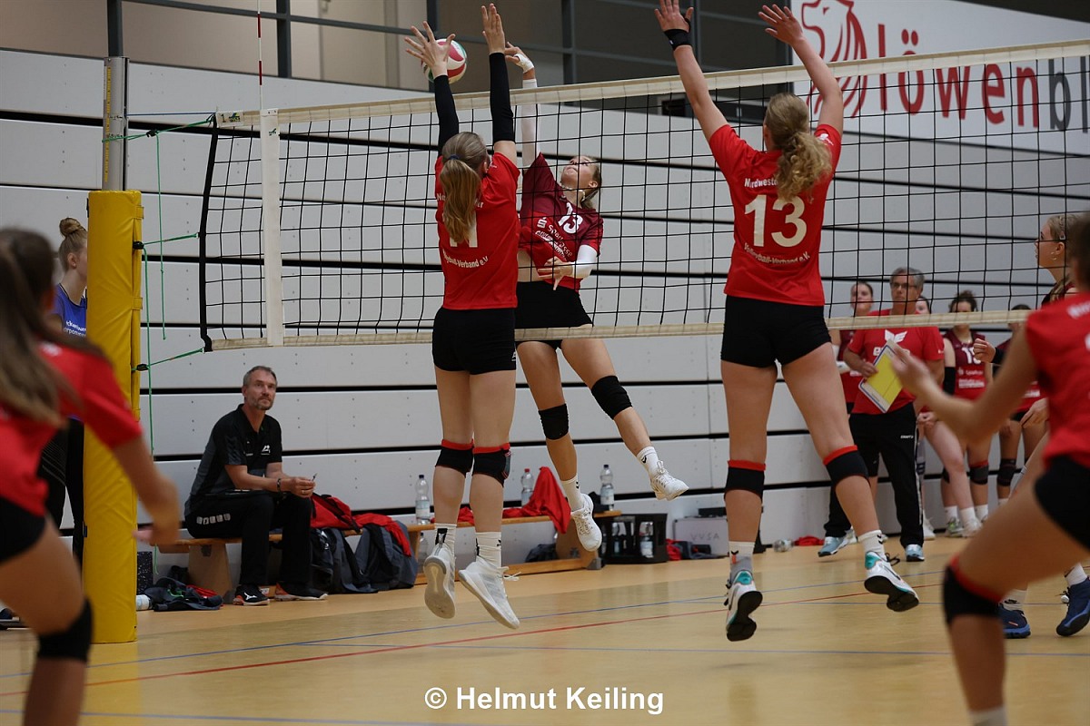 VMV-Bildergalerie: 