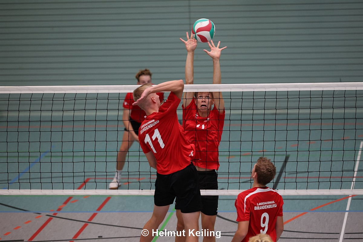 VMV-Bildergalerie: 