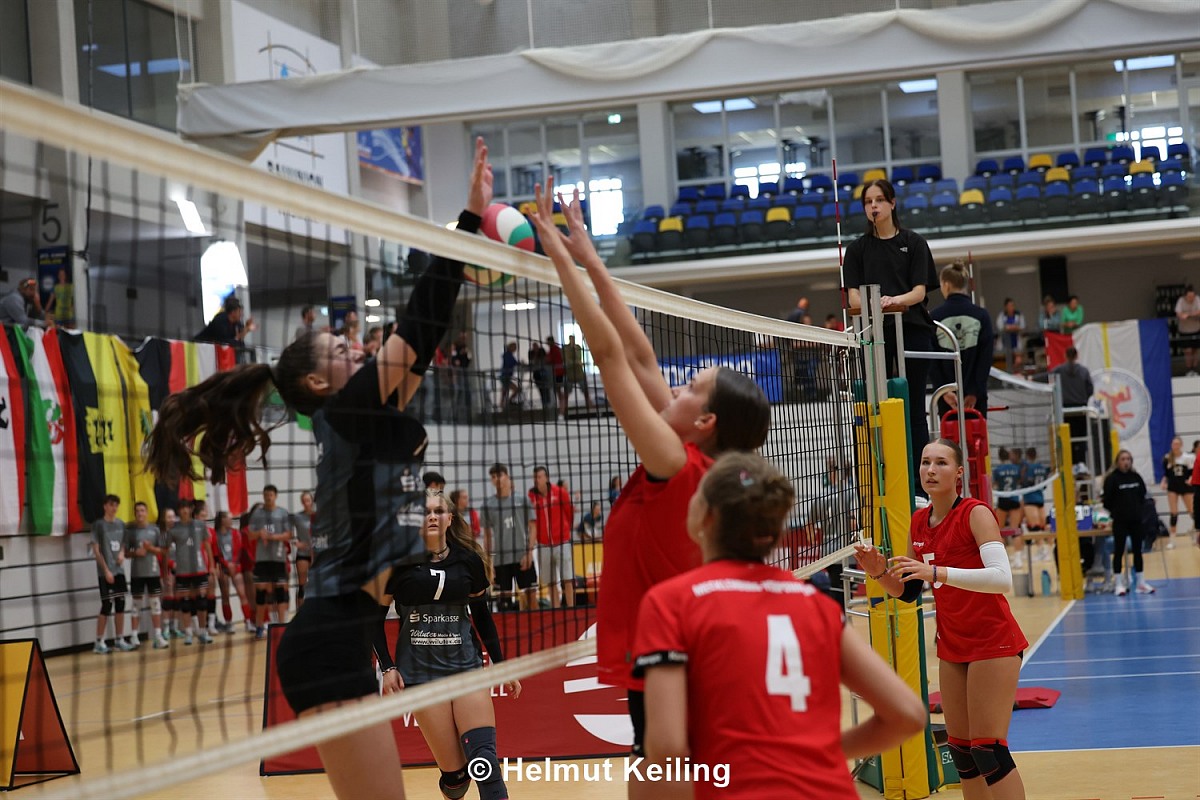 VMV-Bildergalerie: 