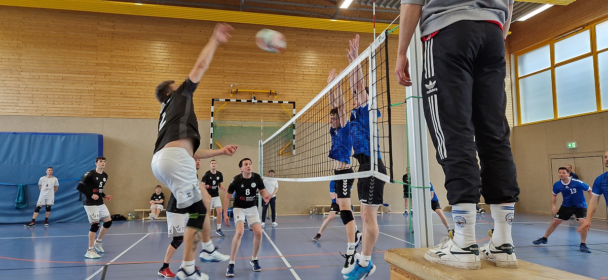 VMV-Bildergalerie: 