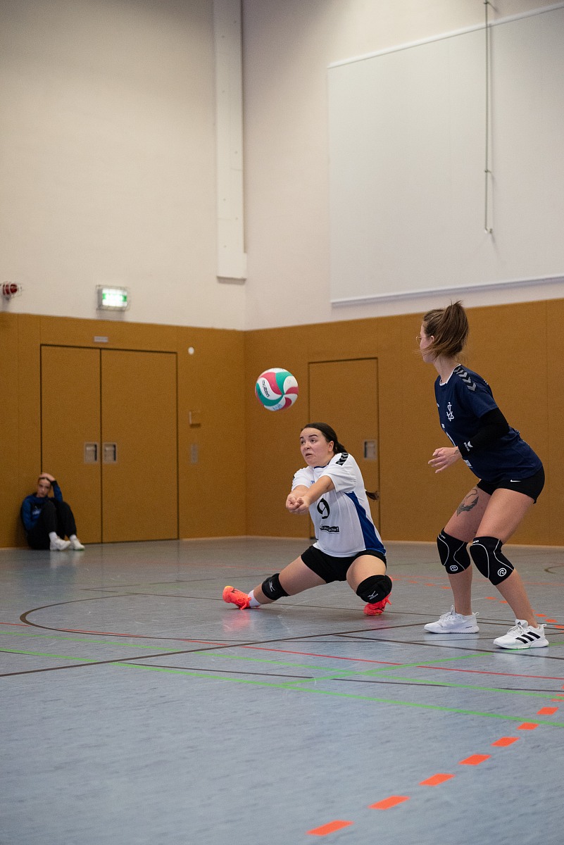 VMV-Bildergalerie: 