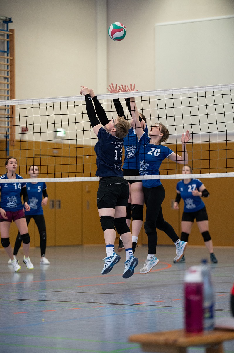 VMV-Bildergalerie: 