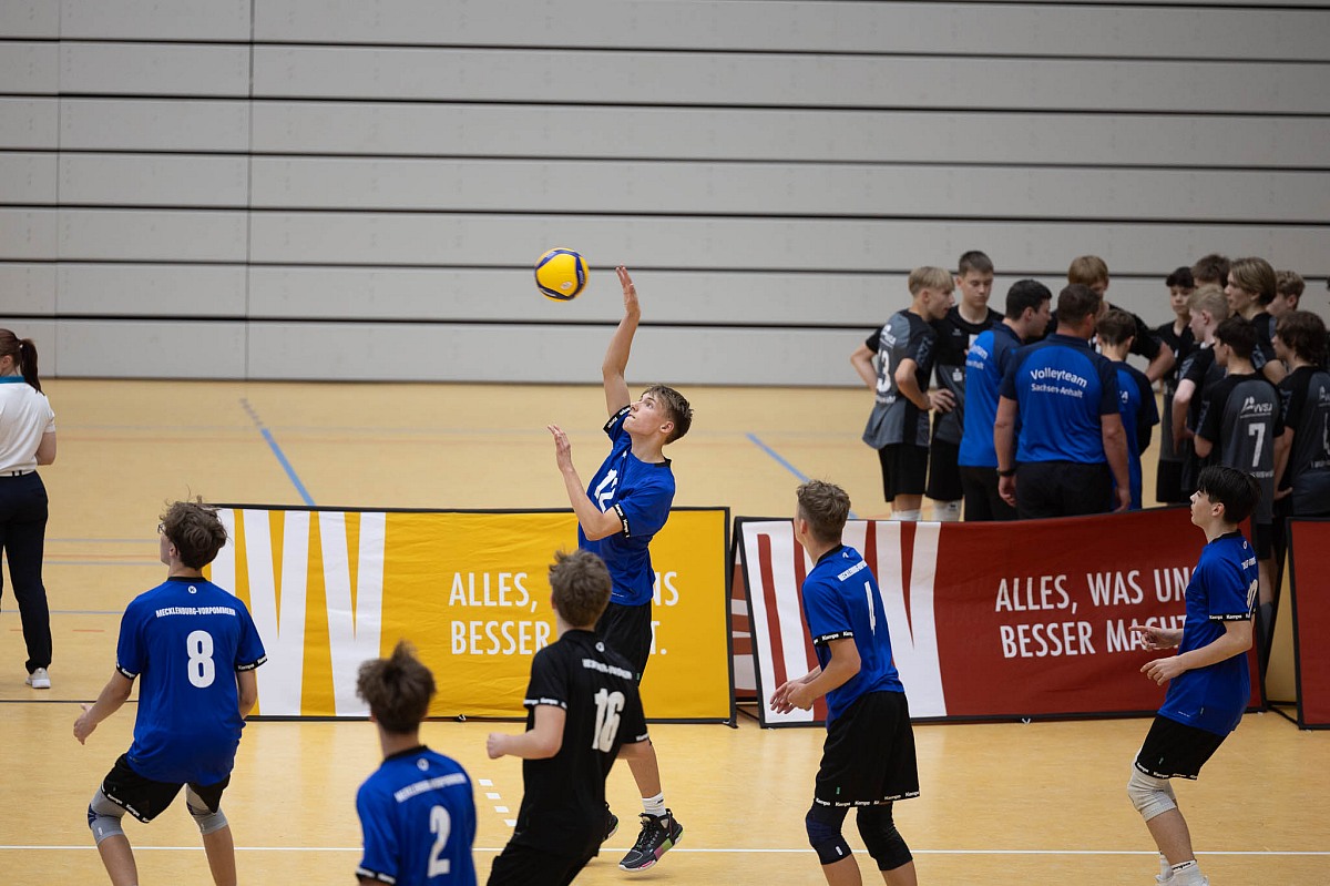 VMV-Bildergalerie: 