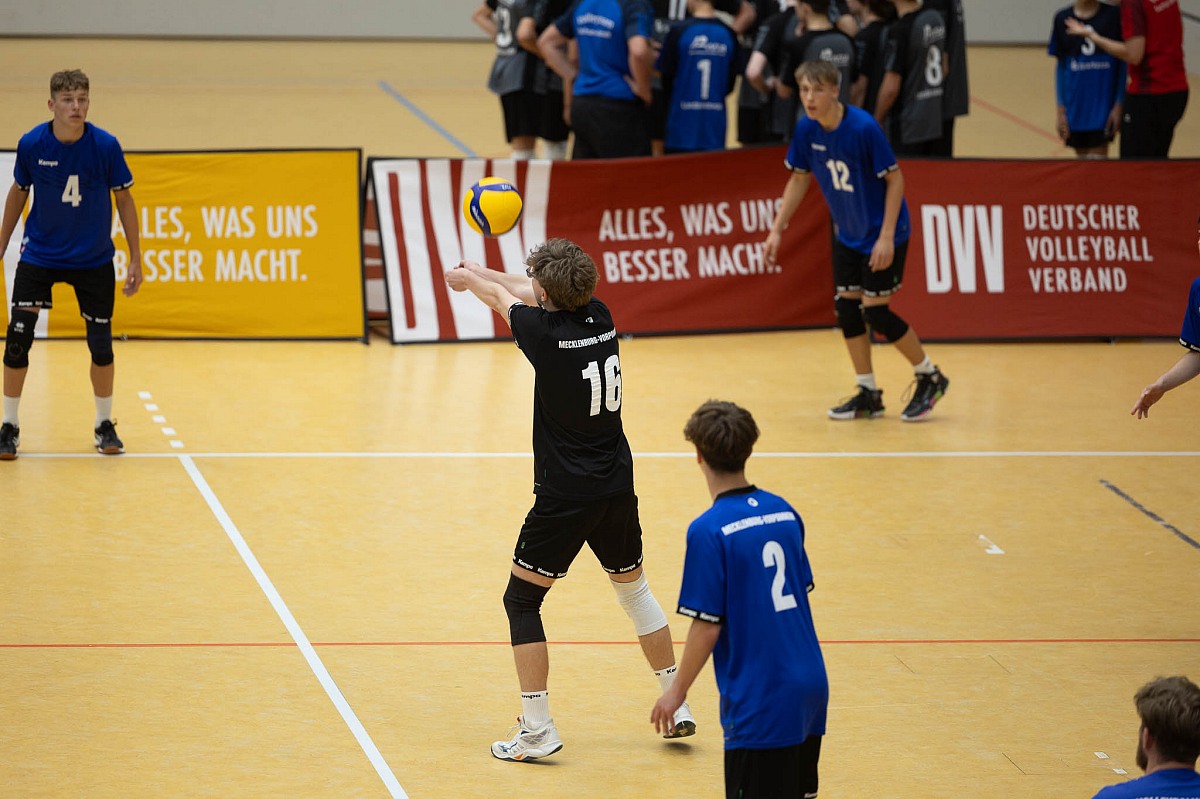 VMV-Bildergalerie: 