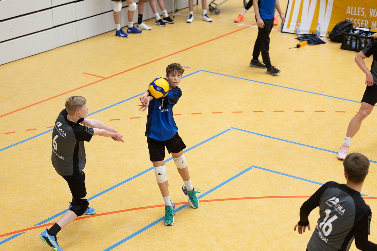 VMV-Bildergalerie: 