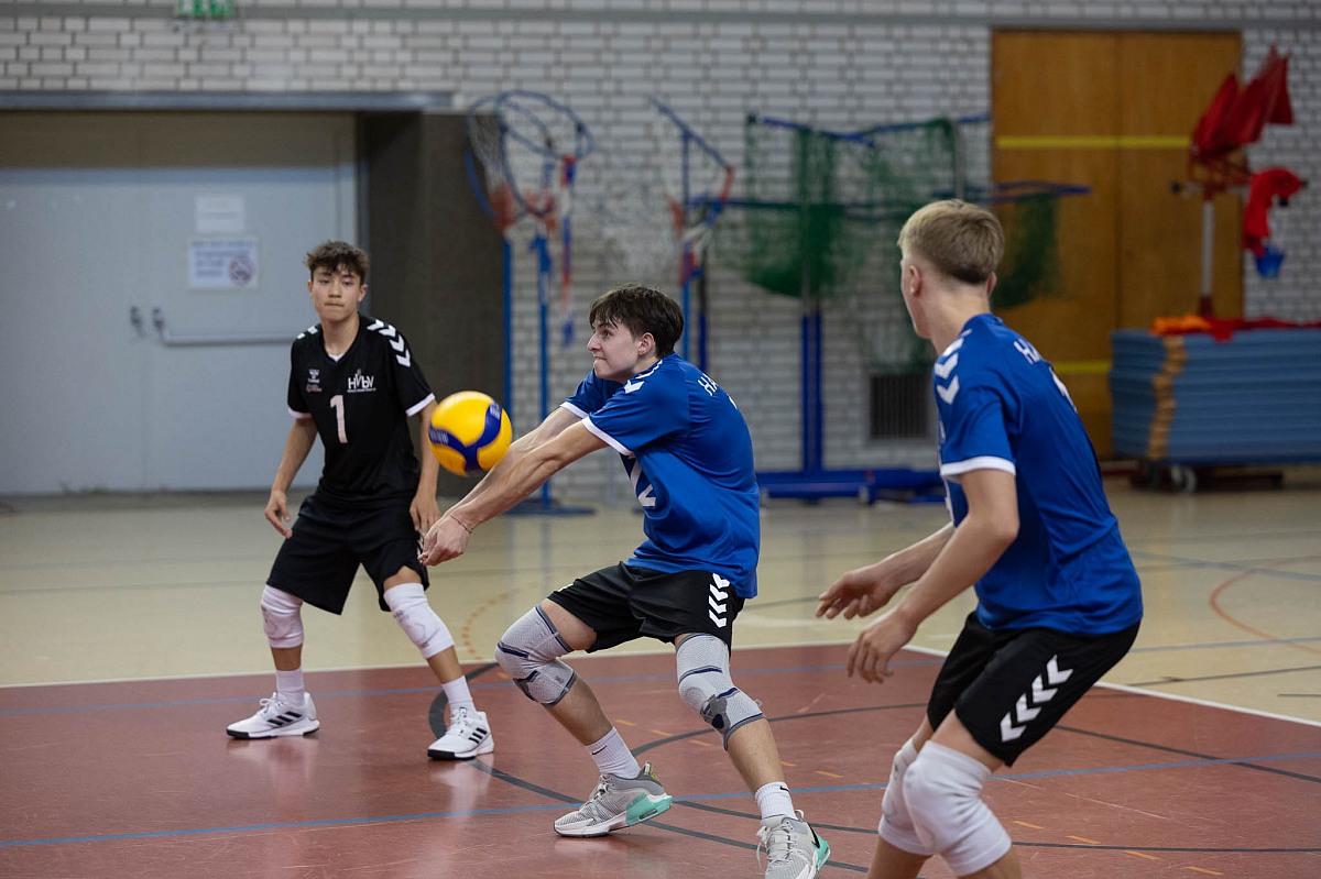 VMV-Bildergalerie: 