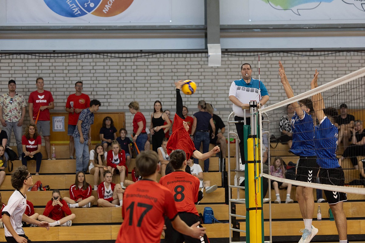 VMV-Bildergalerie: 