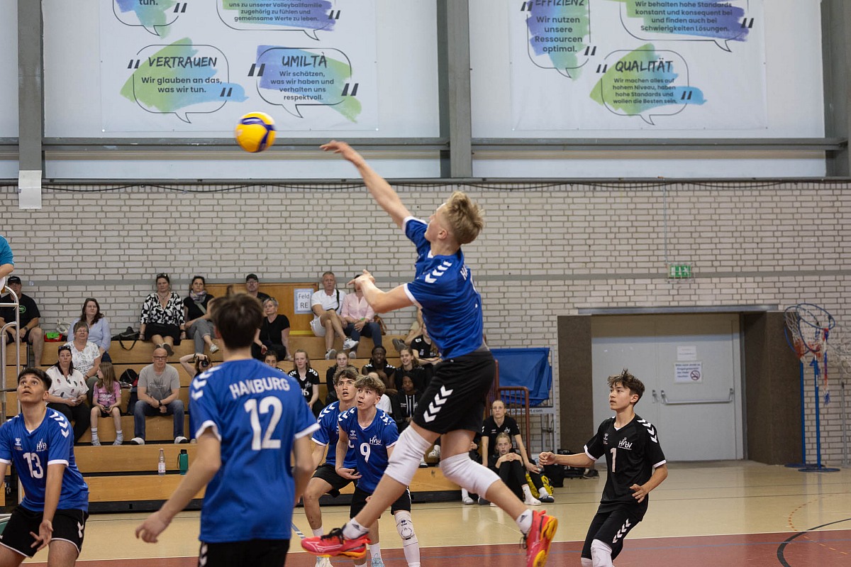 VMV-Bildergalerie: 