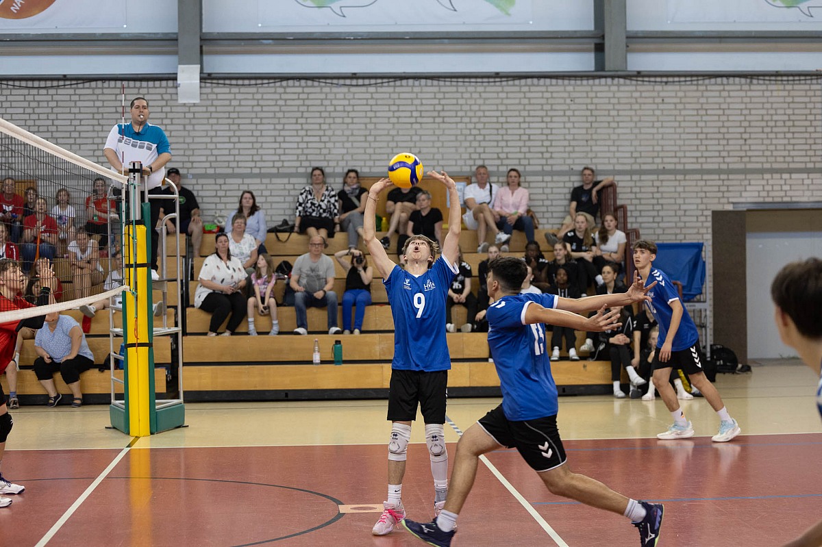 VMV-Bildergalerie: 