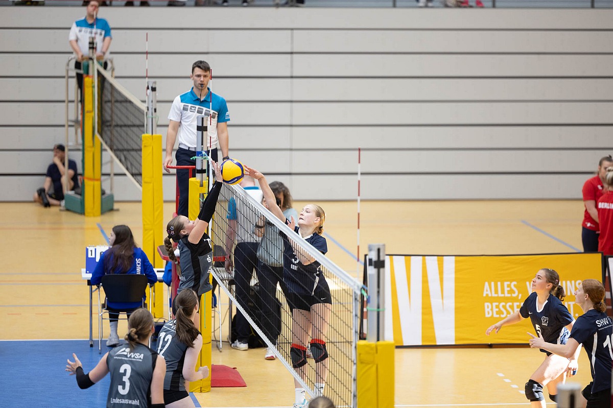 VMV-Bildergalerie: 