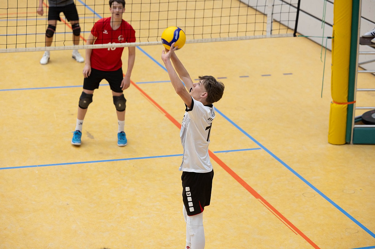 VMV-Bildergalerie: 