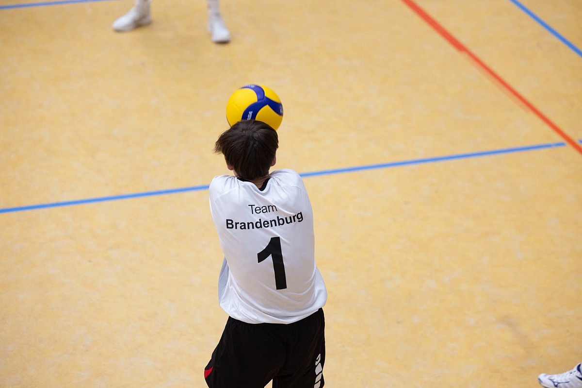 VMV-Bildergalerie: 