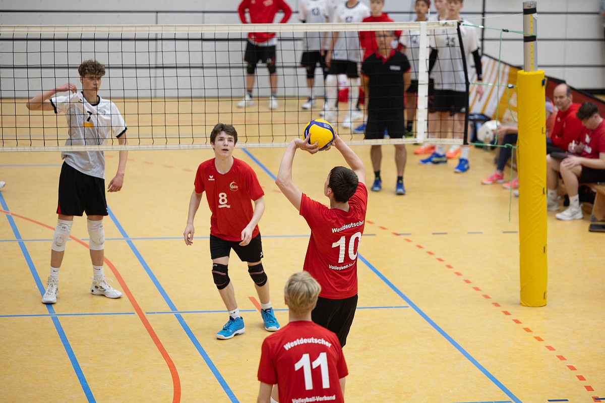 VMV-Bildergalerie: 
