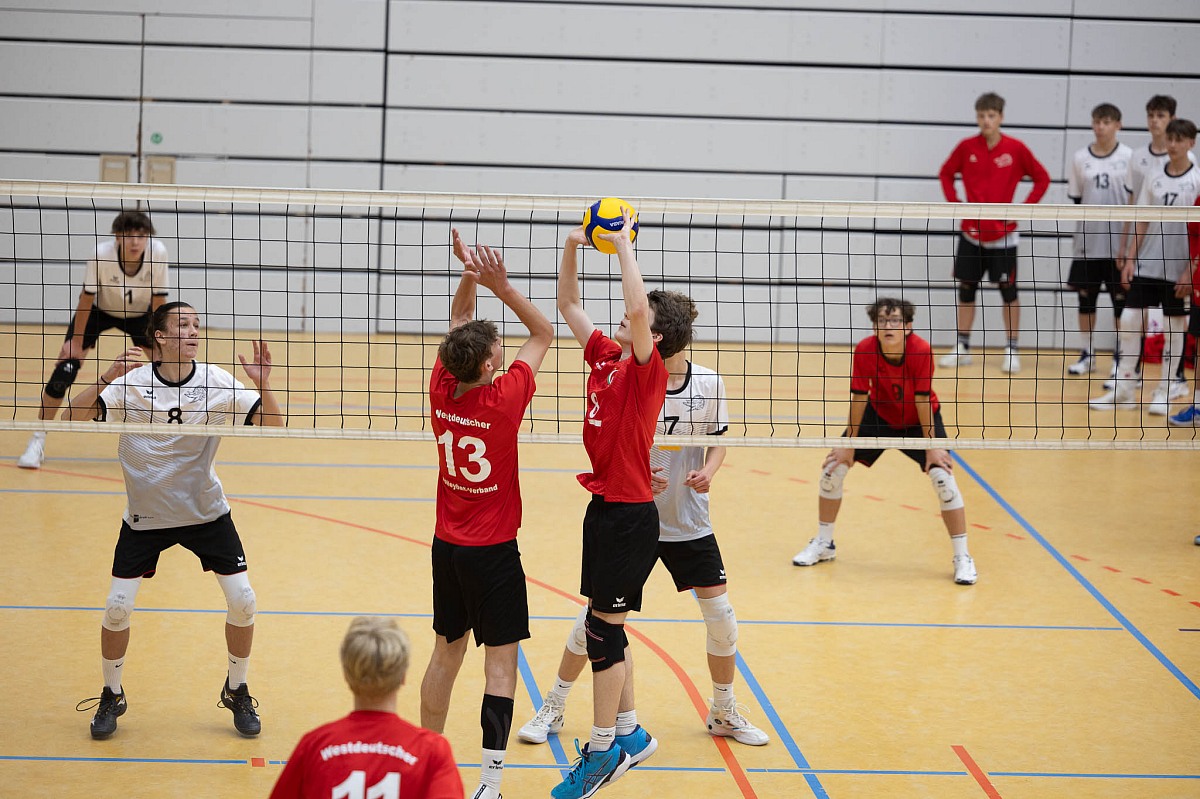 VMV-Bildergalerie: 